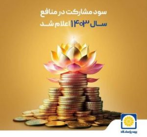 سود مشارکت در منافع سال ۱۴۰۳ بیمه پاسارگاد اعلام شد