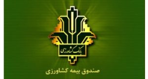 افزایش ۱۴۰ درصدی غرامت پرداختی به کشاورزان خسارت دیده / جهش ۱۵۰ درصدی تعهدات بیمه گندم/ پوشش ۱۰۰ درصدی ۶٫۵ میلیون هکتار گندمزار