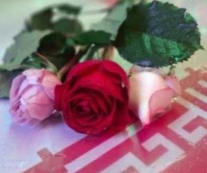 اهدای گل به تعداد شهدای جنگ رمضان در راهپیمایی غدیر